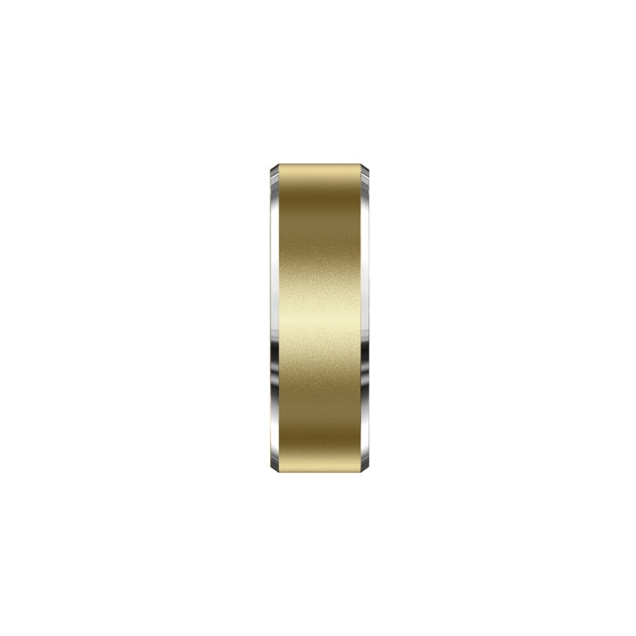 AuraLink Smart Ring